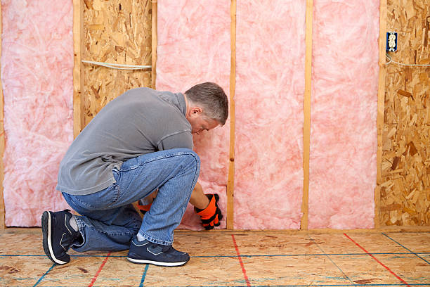 Best Insulation for Specific Applications in Gold River, CA